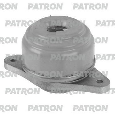 PATRON PSE30387