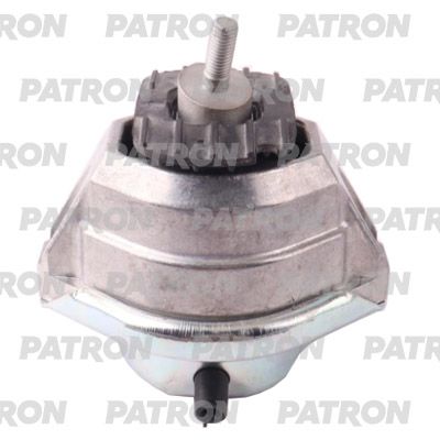 PATRON PSE30952