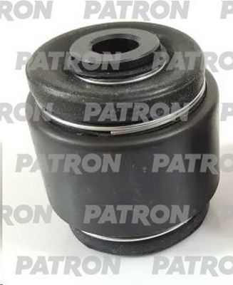 PATRON PSE11058