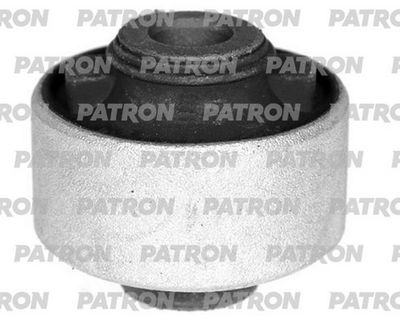 PATRON PSE11820
