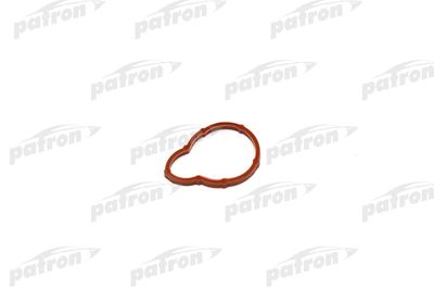 PATRON PG1-5005