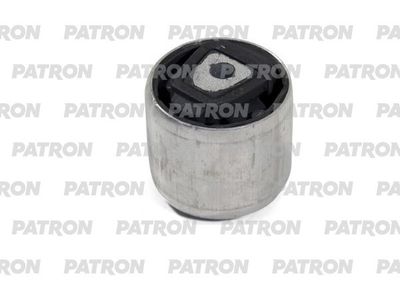 PATRON PSE12209