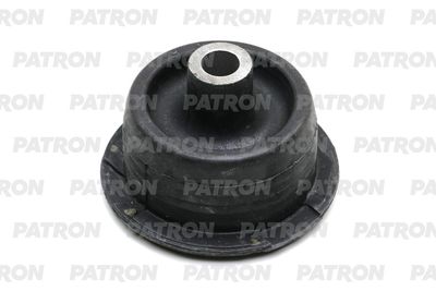 PATRON PSE10891