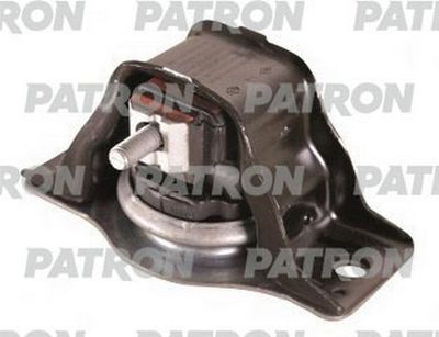 PATRON PSE30479