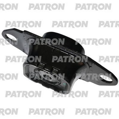 PATRON PSE3761