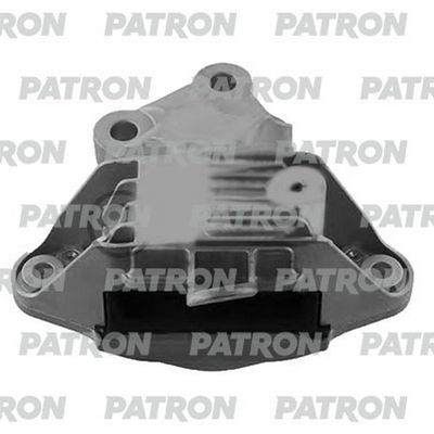 PATRON PSE30366