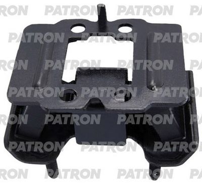 PATRON PSE30781