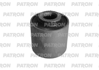 PATRON PSE12322
