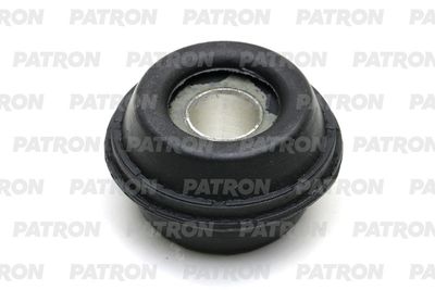 PATRON PSE10804