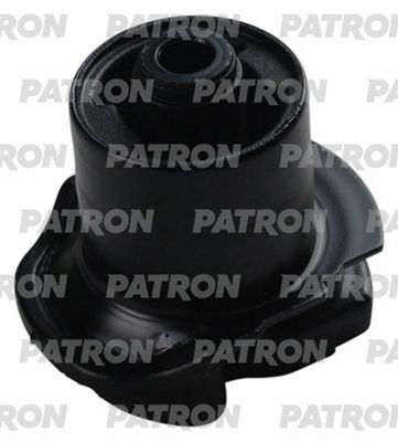 PATRON PSE13582