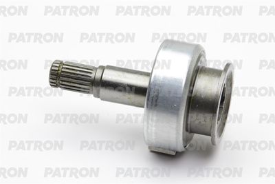 PATRON P1011563