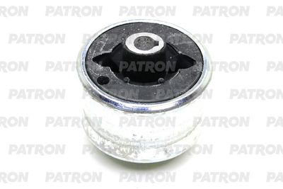 PATRON PSE10787