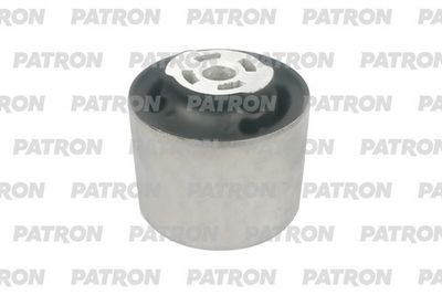 PATRON PSE12058