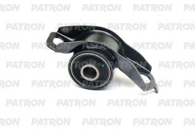 PATRON PSE11074