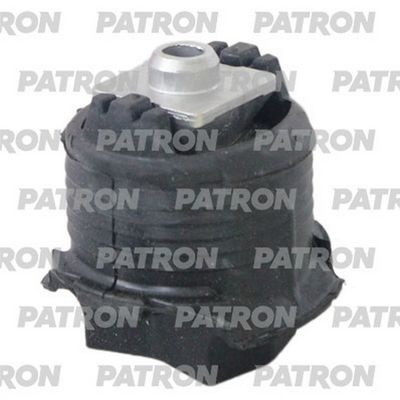 PATRON PSE13574