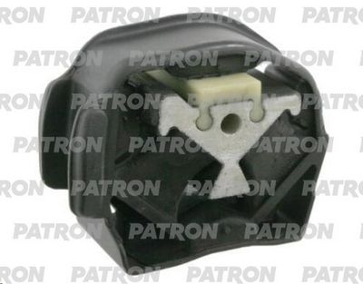 PATRON PSE3100