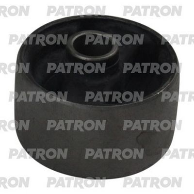 PATRON PSE13583