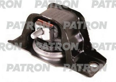 PATRON PSE30480