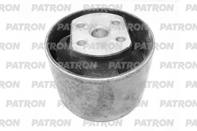 PATRON PSE12315