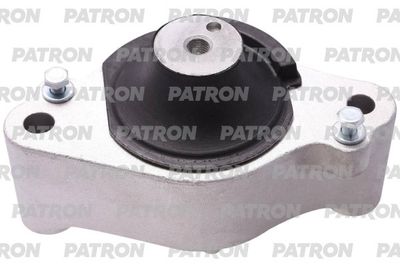 PATRON PSE30893