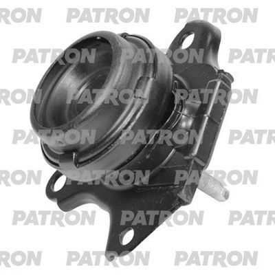 PATRON PSE30610 PATRON PSE30610