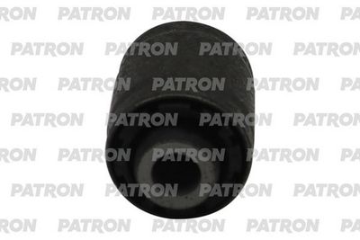 PATRON PSE12180
