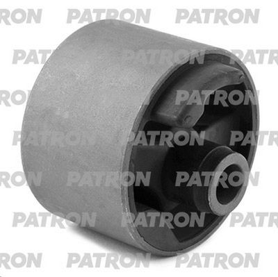 PATRON PSE13569