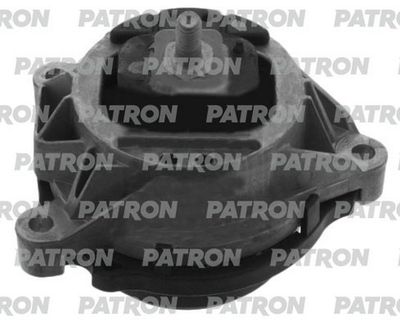 PATRON PSE30332