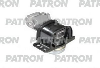 PATRON PSE30482