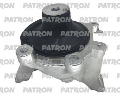 PATRON PSE30106 PATRON PSE30106