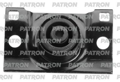 PATRON PSE30320