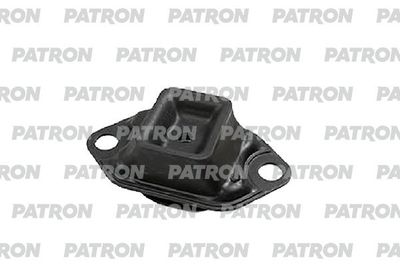 PATRON PSE30541