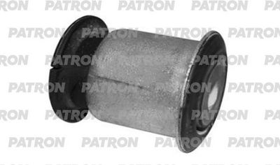 PATRON PSE12012