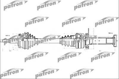 PATRON PDS4500