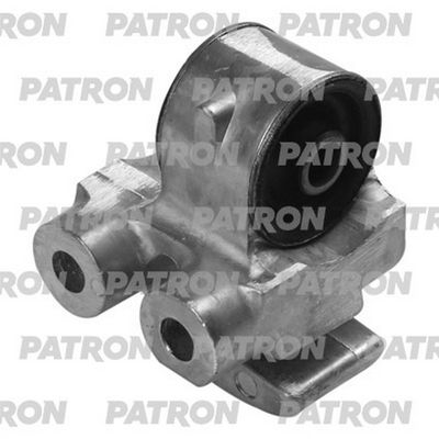 PATRON PSE13551