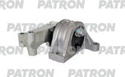 PATRON PSE30487