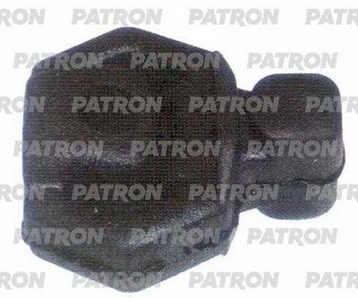 PATRON PSE22189