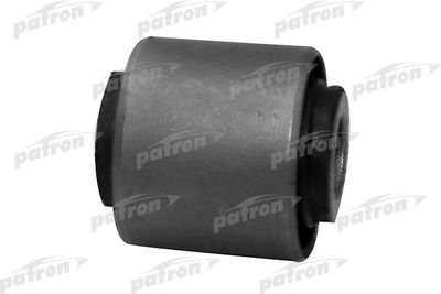 PATRON PSE10060