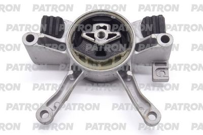 PATRON PSE30871