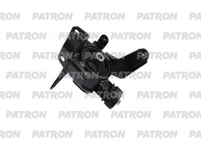 PATRON PSE30854