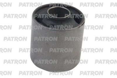 PATRON PSE10451
