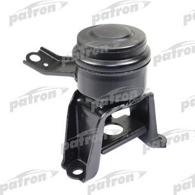 PATRON PSE30194