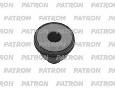 PATRON PSE13563