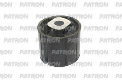 PATRON PSE12120