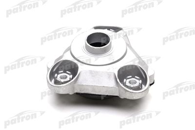 PATRON PSE4376