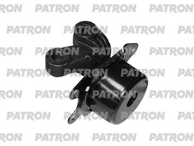 PATRON PSE30663