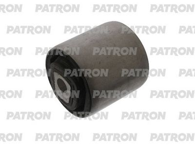 PATRON PSE12050