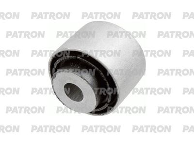PATRON PSE12231 PATRON PSE12231