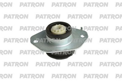 PATRON PSE30651