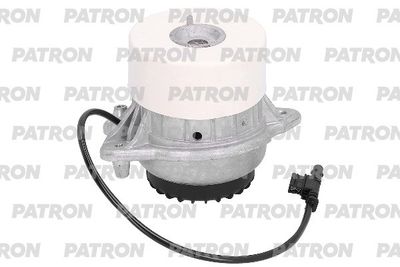 PATRON PSE30846